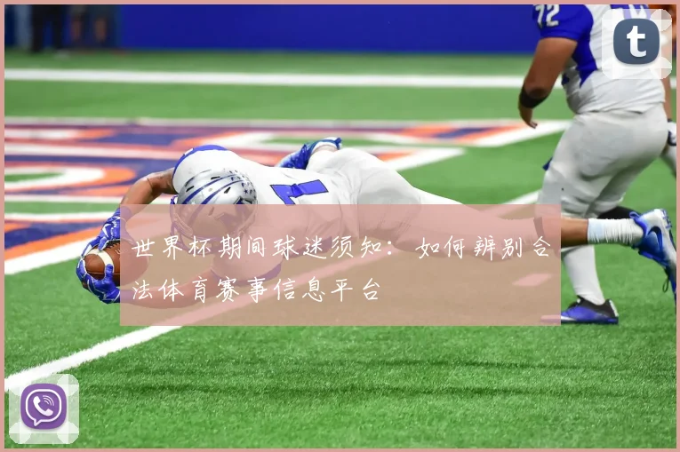 世界杯期间球迷须知：如何辨别合法体育赛事信息平台