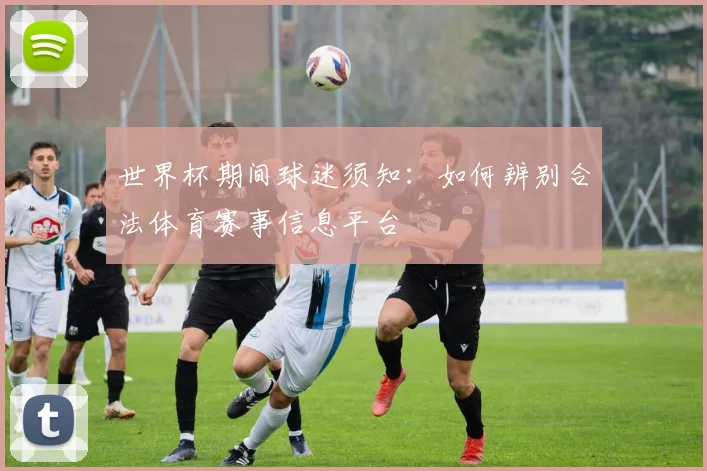 世界杯期间球迷须知：如何辨别合法体育赛事信息平台